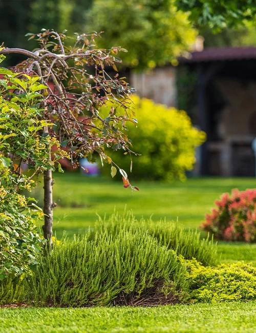 Élagueur Paysagiste à Châlons-sur-Saône