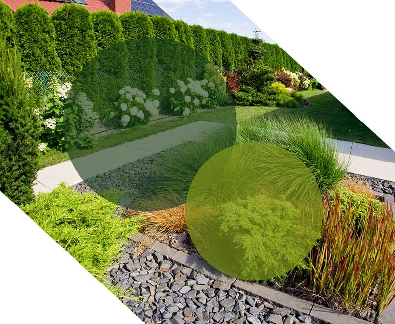 création jardin châlons sur saone